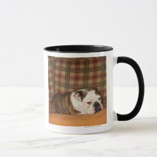 Bulldogge, die auf einem Sofa liegt Tasse