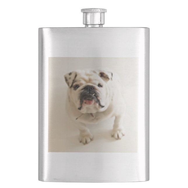 Bulldogge Flachmann (Vorderseite)