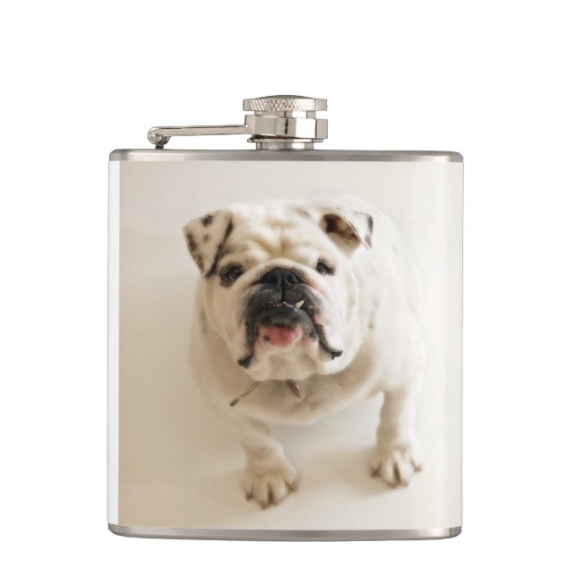 Bulldogge Flachmann (Vorderseite)