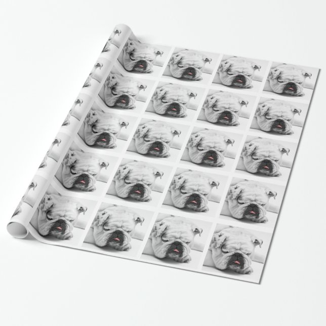 Bulldogge Geschenkpapier (Ungerollt)