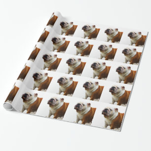 Bulldogge Geschenkpapier