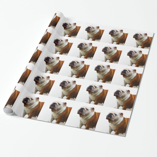 Bulldogge Geschenkpapier (Ungerollt)
