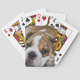 Bulldogge-Kartendeck Spielkarten
