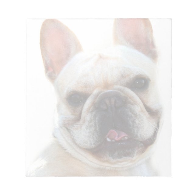 Bulldogge Notizblock (Vorderseite)