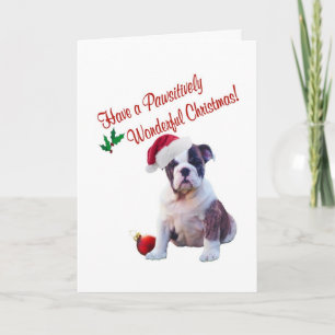 Bulldogge Pawsitively wunderbare Weihnachtswünsche Feiertagskarte