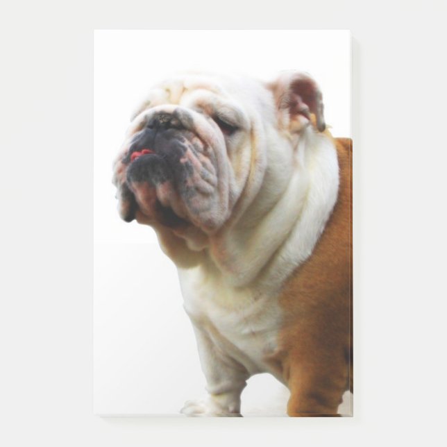 Bulldogge Post-it Klebezettel (Vorderseite)