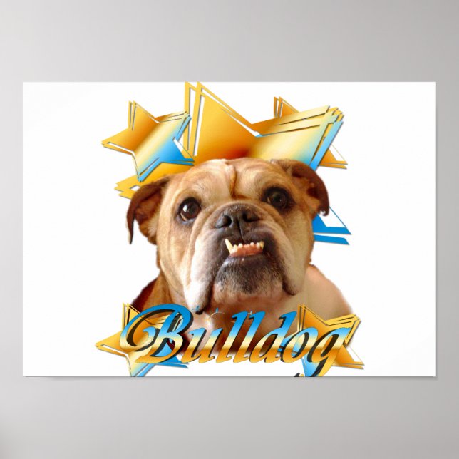Bulldogge Poster (Vorne)