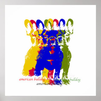 Bulldogge-Poster Poster