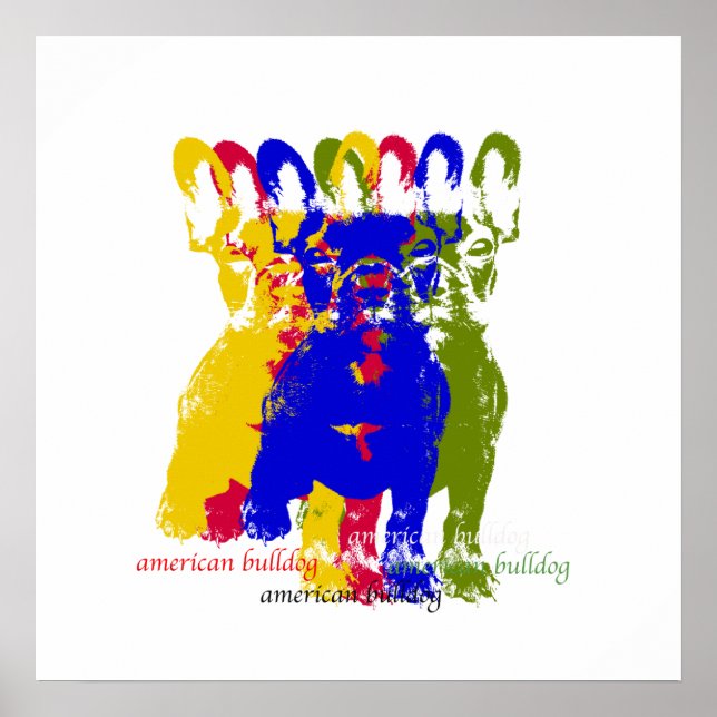 Bulldogge-Poster Poster (Vorne)