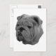 Bulldogge Postkarte (Vorne/Hinten)