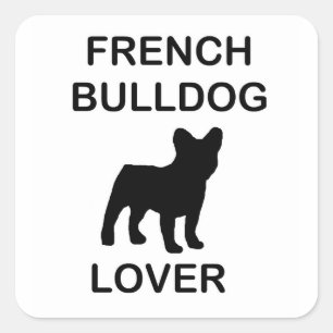 Bulldogge Quadratischer Aufkleber