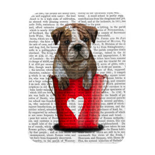 Bulldogge Rot-Liebe Magnet