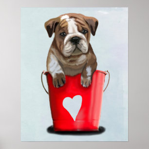 Bulldogge Rot-Liebe Poster