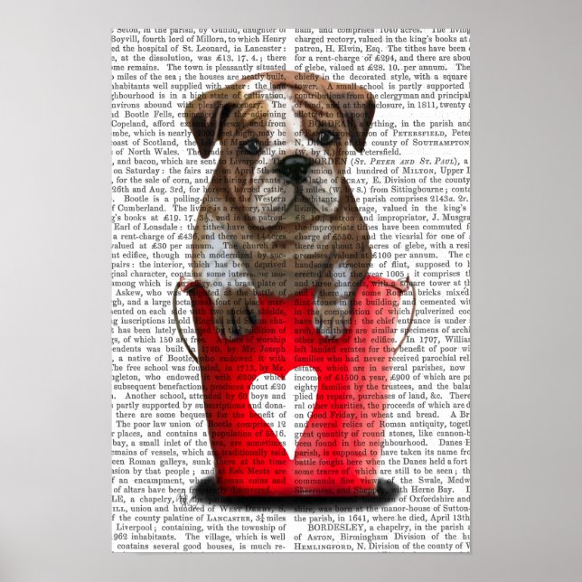 Bulldogge Rot-Liebe Poster (Vorne)