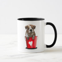 Bulldogge Rot-Liebe
