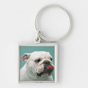 Bulldogge Schlüsselanhänger