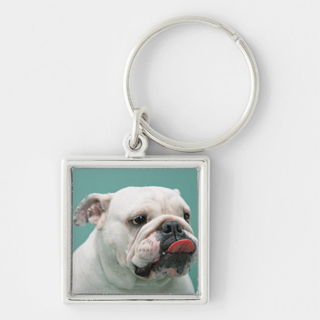 Bulldogge Schlüsselanhänger (Vorne)