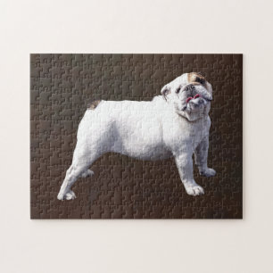 Bulldogge steht stolz aufrecht puzzle