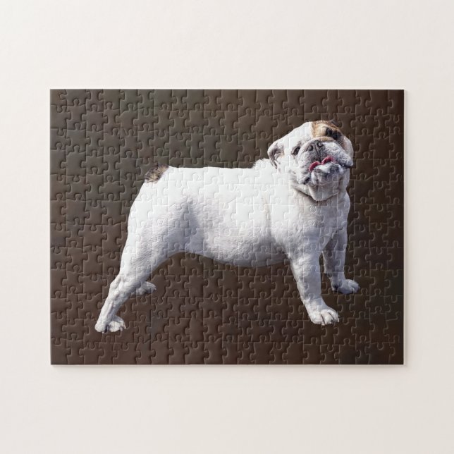 Bulldogge steht stolz aufrecht puzzle (Horizontal)