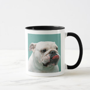 Bulldogge Tasse