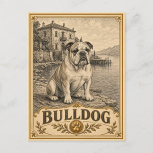 Bulldogge, Vintage Heritage Hund Postkarte