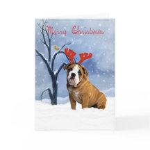 Bulldogge Weihnachtskarte - Bulldog hat Rentiertie