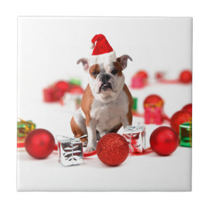 Bulldogge Weihnachtsschmuck Geschenkboxen Rote Wei Fliese