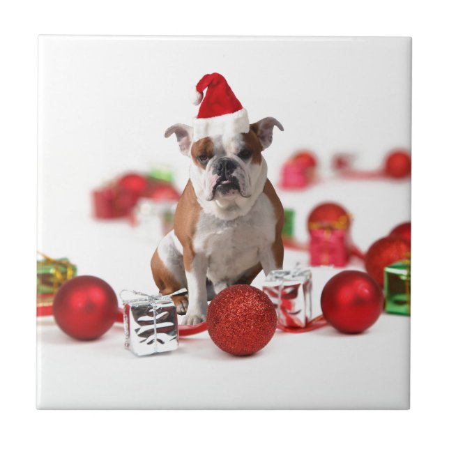 Bulldogge Weihnachtsschmuck Geschenkboxen Rote Wei Fliese (Vorderseite)