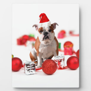 Bulldogge Weihnachtsschmuck Geschenkboxen Rote Wei Fotoplatte