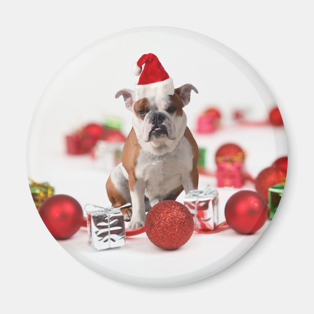Bulldogge Weihnachtsschmuck Geschenkboxen Rote Wei Magnet (Vorne)