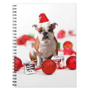 Bulldogge Weihnachtsschmuck Geschenkboxen Rote Wei Notizblock