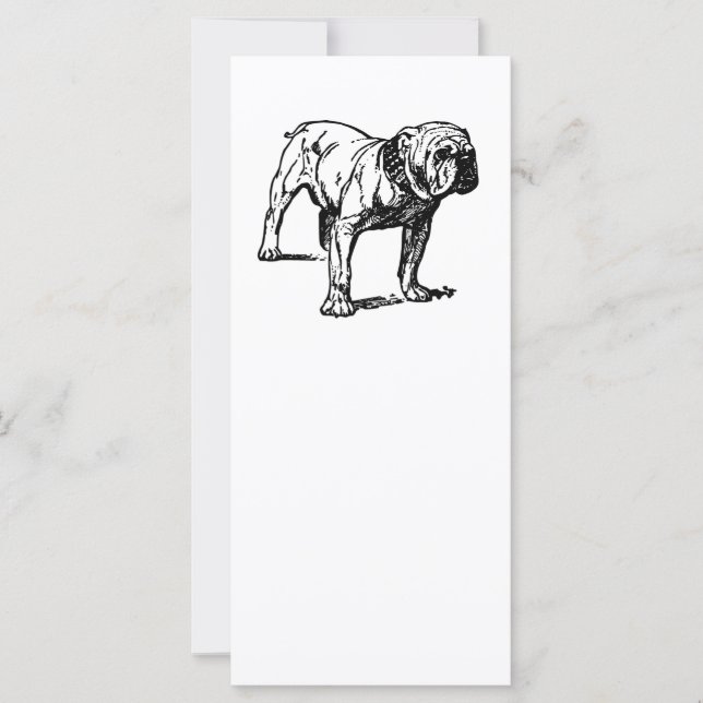 Bulldogge zeichnend (Vorderseite)