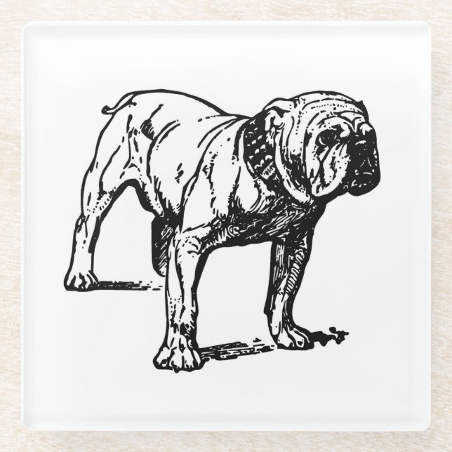 Bulldogge zeichnend glasuntersetzer (Vorderseite)