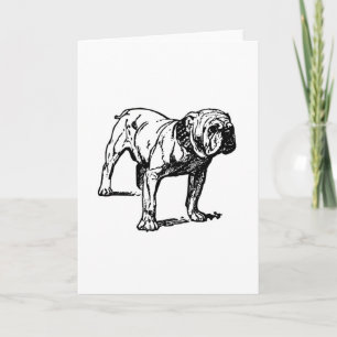 Bulldogge zeichnend karte