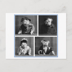 Bulldoggen als Menschen verkleidet Vintage Kuriosi Postkarte