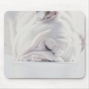 Bulldoggen-Essen Mousepad