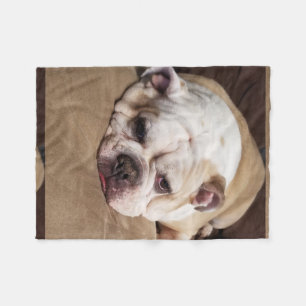 Bulldoggen-Fleece Throw Fleecedecke