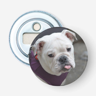 Bulldoggen-Hänselei Flaschenöffner