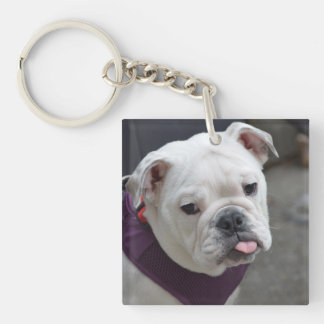Bulldoggen-Hänselei Schlüsselanhänger