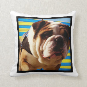 Bulldoggen-Kissen Kissen