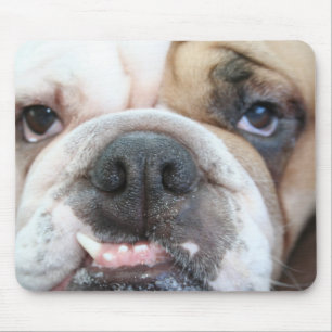 Bulldoggen-Mausunterlage Mousepad