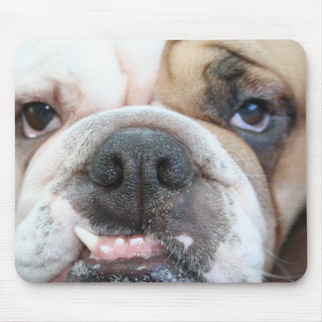 Bulldoggen-Mausunterlage Mousepad (Vorne)