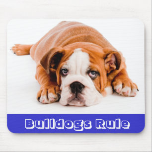 Bulldoggen regieren! Englisch Bulldogge Welpe Hun Mousepad