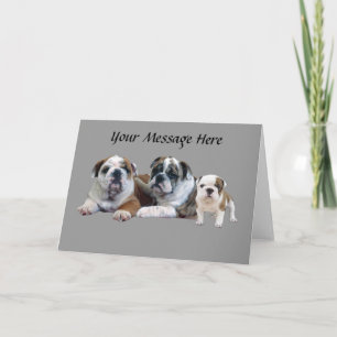 Bulldoggen-Trio-Gruß-Karte Feiertagskarte