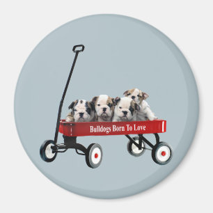 Bulldoggen-Welpen im Lastwagen-Magneten Magnet