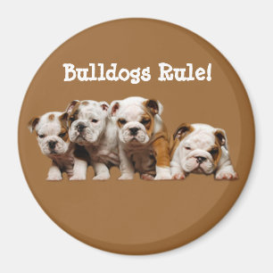 Bulldoggen-Welpen-Magnet Magnet