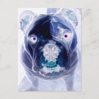 Bulldoggennegativ Postkarte