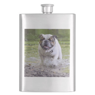 Bulldogin Flachmann