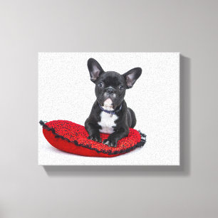 Bulldogin-Leinwand Leinwanddruck
