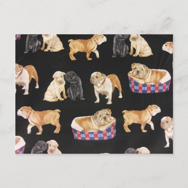 Bulldogs & Shar Peis Postkarte (Vorderseite)